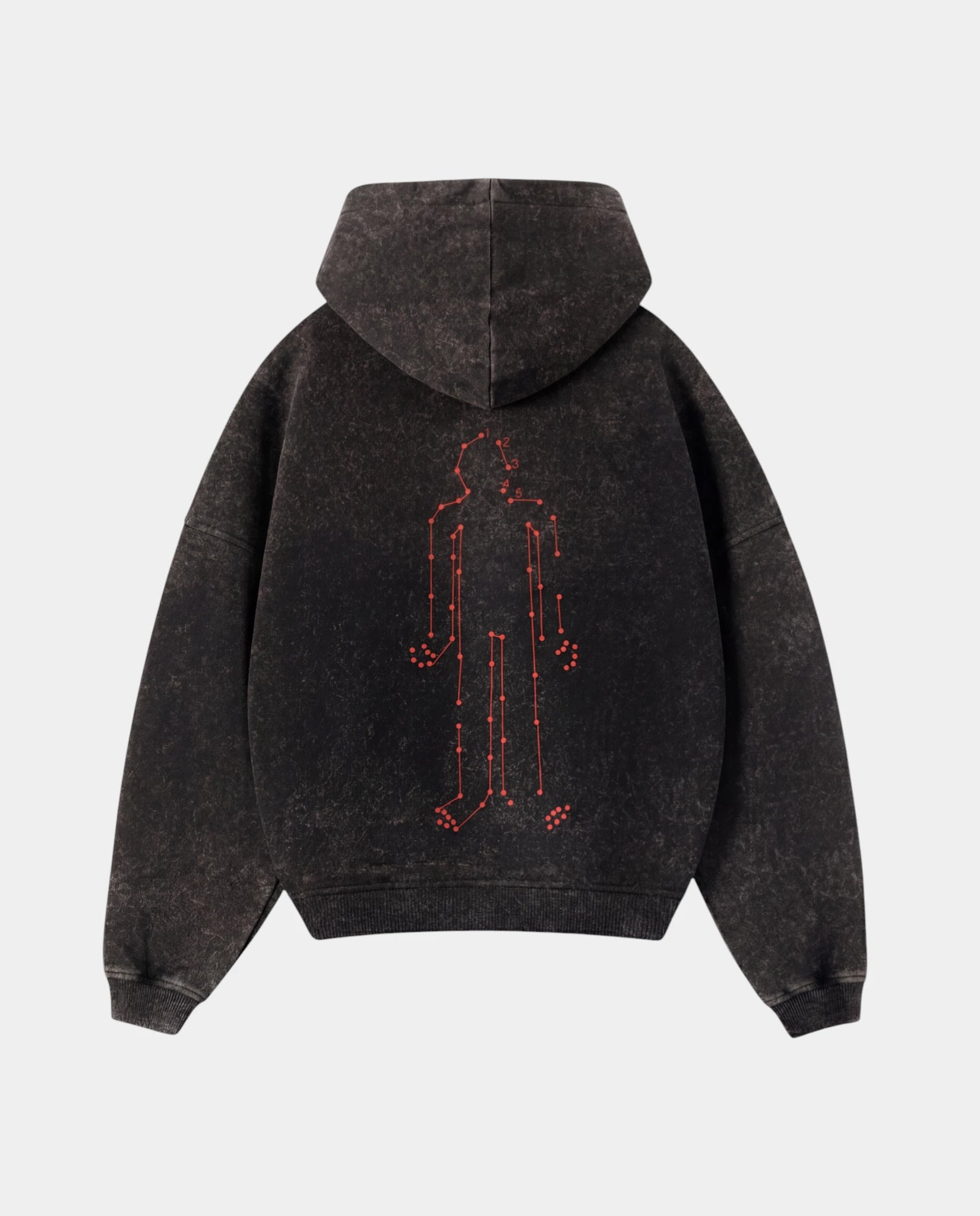 Canguro Mapa Regular