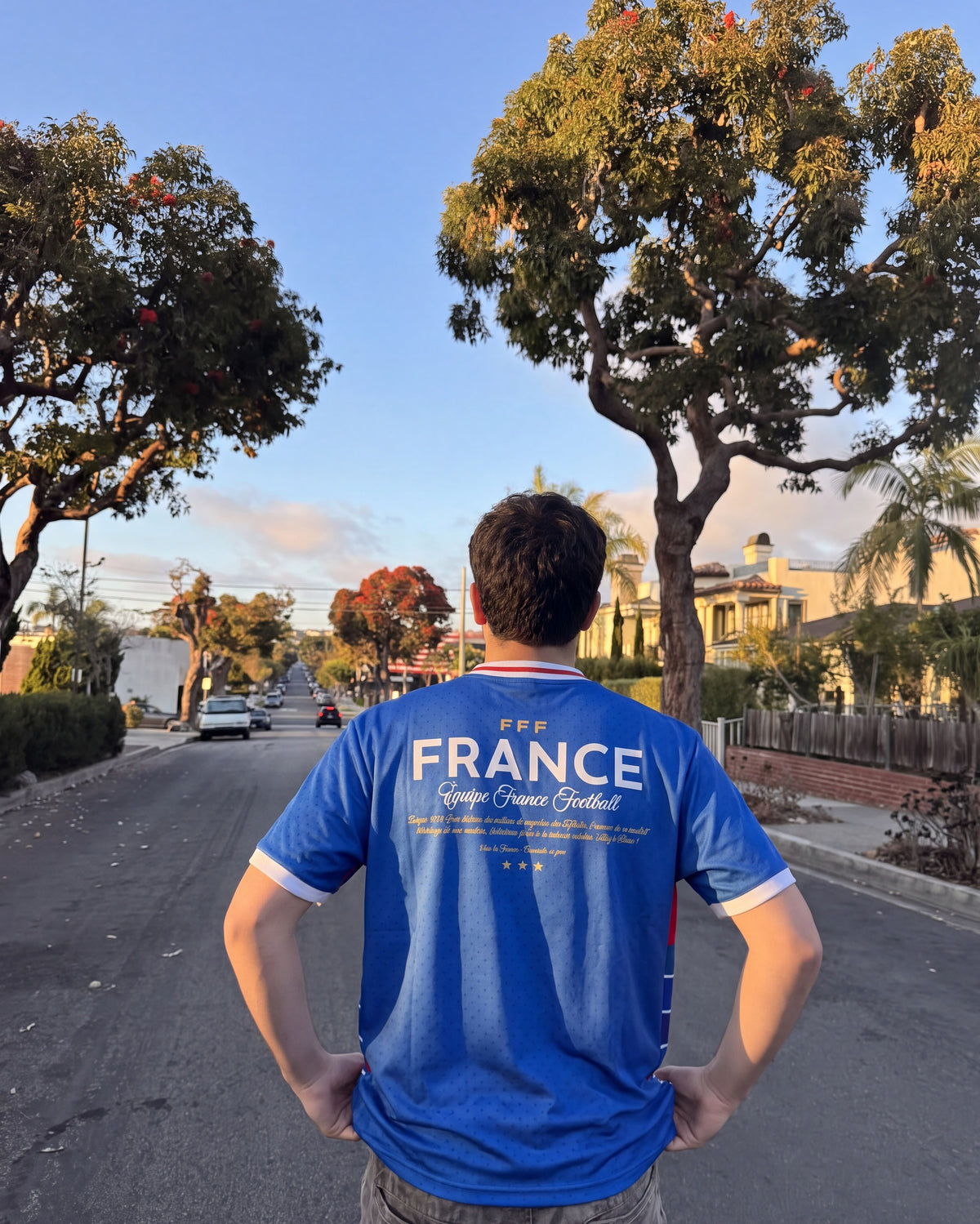 Remera fútbol Francia | lifestyle | 1